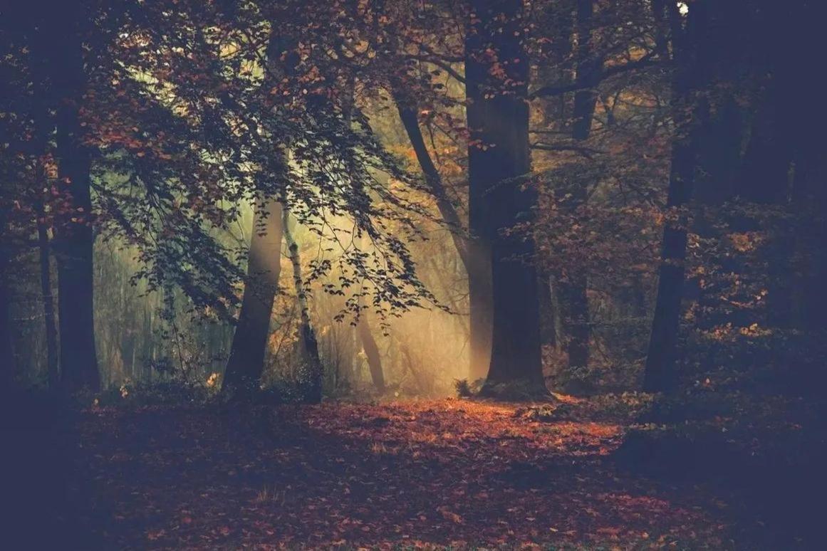 B&B Huisje Schaufeli Apeldoorn Buitenkant foto